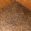 welded wire mesh on straw bale wall